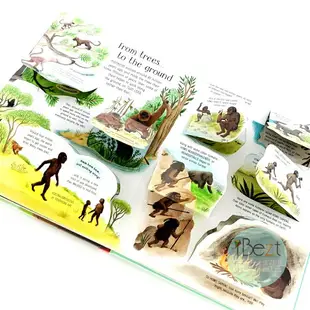 Usborne See Inside Evolution