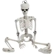Movable Halloween Skeleton Human Bones Model