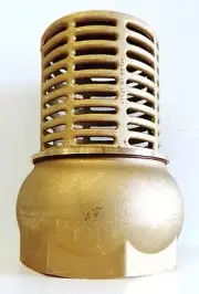NEW Foot Valve Brass 65mm 2 1/2" BSP Footvalve