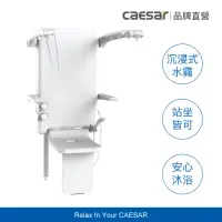 在飛比找momo購物網優惠-【CAESAR 凱撒衛浴】多功能 SPA 淋浴椅 SC106