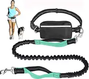 Hands Free Dog Leash, 4FT-6FT Rope Dog Leash with Zipper Pouch, Leash for Dog Walking Running Jogging, for Small, Medium and Large Dogs, Adjustable Length Dog Leash with Reflective Strips (Lake Blue)