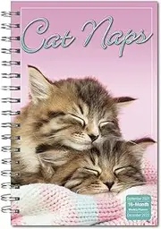 Cat Naps 2022 Weekly & Monthly Planner, 16-Month Engagement Calendar: September 2021 - December 2022, 6" x 9"