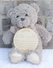 New Baby Announcement Sign and Plush Teddy Bear Gift-Great for Photos