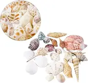 GANAZONO Natural Shell Fish Tank Decorations Large Conch Bag for Aquariums Unique Beach Inspired Crafts for Home Decor and DIY Projects