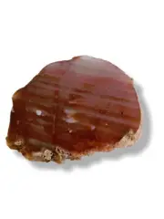 Orange Polished Agate Carnelian Geode Slice Genuine Gems Gemstone 514gms G2
