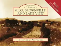 在飛比找博客來優惠-Milo, Brownville, and Lake Vie