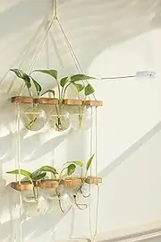 Wall Hanging Plant Propagation Station - 6 Bulb Vase 2 Tiered Wooden Stand Plant Terrarium kit,Home Office Garden Decor Planter,Plant Accessories,Gardening Gifts for Women