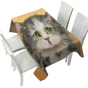 Cats Cute Faces Drawings the Regretful Grey Kitten Tablecloth