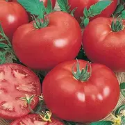 Tomato 15 Seeds Grosse Lisse Heirloom Easy Vegetable Garden Australian Trusted