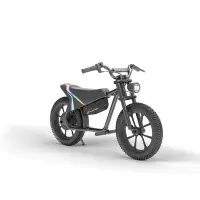 在飛比找Yahoo!奇摩拍賣優惠-【高雄怪獸屋】限量美國超級gogo 兒童電動車 電動自行車 