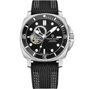 Pagani Design 1736 Men's Automatic Watches Tourbillon Fashion Men Mechanical ...