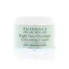 Eminence Bright Skin Overnight Correcting Cream 250ml 8.4oz