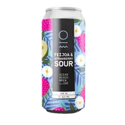 Ocean Reach Feijoa & Strawberry Sour Ale 500ml Can