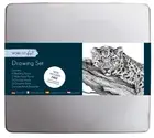 Artist Drawing Set Tin Sketching Box Pencils Pastels Charcoal Graphite Sticks
