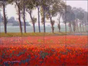 Poppy Tile Backsplash Jack White Landscape Art Ceramic Mural JWA019
