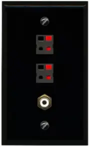 RiteAV 2 Port Speaker Wire Plug Jack Wall Plate+RCA for Subwoofer Flat [Black]