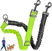 AKEISHE Double Dog Leash for Two Dogs - 2-in-1 Upgraded Double Leash for Two Dogs with Adjustable Strap & Shock Absorbing Bungee, No Tangle Dual Training Splitter (Green)