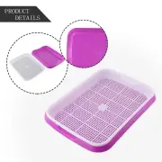 Efficient For Grain Sprouter Germination Tray Promotes Nutrient Rich Sprouts