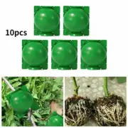 10 Pcs Plant Root Rooting Growth Box High Pressure Propagation Ball NEW