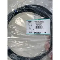 在飛比找蝦皮購物優惠-Panduit cat6A cat 6a cat.6a 2米