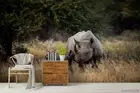 3D Savanna Rhino Wallpaper Wall Mural Removable Self-adhesive 296
