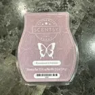 NEW SCENTSY 3.2 oz Bars ROSEWOOD & FREESIA