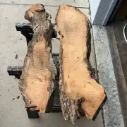 2 Spalted Cuban Mahogany Live Edge Slabs