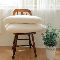在飛比找蝦皮商城優惠-【青鳥家居】美國進口100%天然乳膠枕 #枕頭 乳膠 抗菌枕