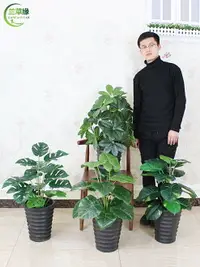 在飛比找樂天市場購物網優惠-仿真植物盆栽金錢樹客廳落地綠植擺設室內裝飾假花塑料仿真樹盆景