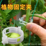 瓜果固定扣 植物固定扣 水果 瓜類 藤蔓 快速卡扣 園藝用品 植物枝條固定 藤蔓固定夾 枝條夾 園藝夾 NMRB