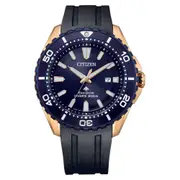 Citizen Promaster Marine Eco-Drive Stainless Steel Men's Watch (BN0196-01L)