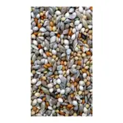 Avigrain Finch Mix 2.5kg Portion