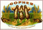 1905 Gopher Rodent Smoke Vintage Cigar Tobacco Box Crate Label Print