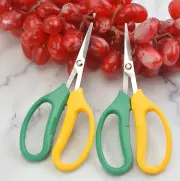 Stainless steel grape scissors garden pruning flower branches fruit picking