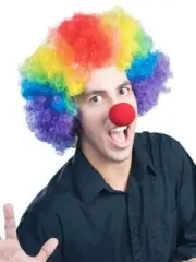 Enigma Wigs Men's E Clown(Economy) One Size, Multi