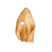 Butcher's Superior Cuts Beef Ear Dog Treat Loose