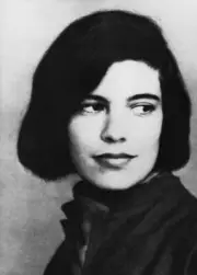 Susan Sontag American Writer And Activist Susan Sontag Circa 1964- Old Photo
