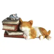 Enchanted Story Garden Kitten Napping on Books Trinket Box and Ring Holder