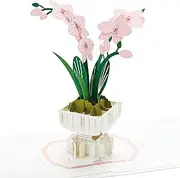 Hallmark Signature Pop Up Mothers Day Card or Birthday Card for Women (Orchid)