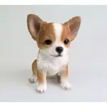 預購 日本代購幼犬擺飾 吉娃娃