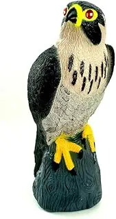 Falcon Predator Decoy Bird Scare
