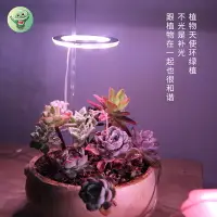 在飛比找樂天市場購物網優惠-植物 補光燈 全光譜led仿太陽燈上色室內家用usb食蟲植物