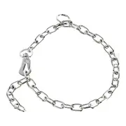 Dog Collar by Hs Sprenger Silver 3 Mm Links Short 65 Cm