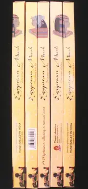 40 Sticks 5x 8g Packs Kamini EGYPTIAN MUSK Kamini Incense Scent Insence Bulk Lot