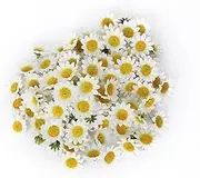 100Pcs Artificial Flowers Wholesale Fake Flowers Heads Gerbera Daisy Silk Flower Heads Sunflowers Sun Flower Heads for Wedding Party Flowers Decorations Home Decor White