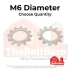 M6 A2-70 Stainless Steel External Tooth Lock Washers (Pick Quantity)