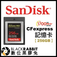 在飛比找Yahoo!奇摩拍賣優惠-數位黑膠兔【 Sandisk Extreme Pro CFe