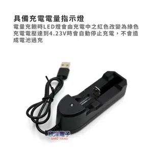 Long Ding USB鋰電池充電器 (LP-UCR01) 適用10440 14500 16340 18650