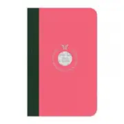 FLEXBOOK 21.00056 Smartbook Notebook Pocket Ruled Pink/Green [21.00056]
