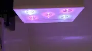 Refugium light CHAETO C5D Refug LED on/off Dimmer soft touch switch